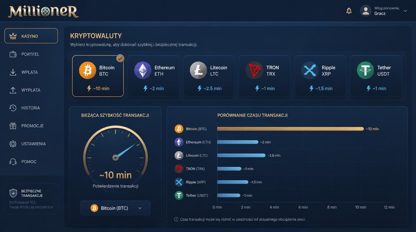 zestaw akceptowanych kryptowalut z ikonami i zegarem